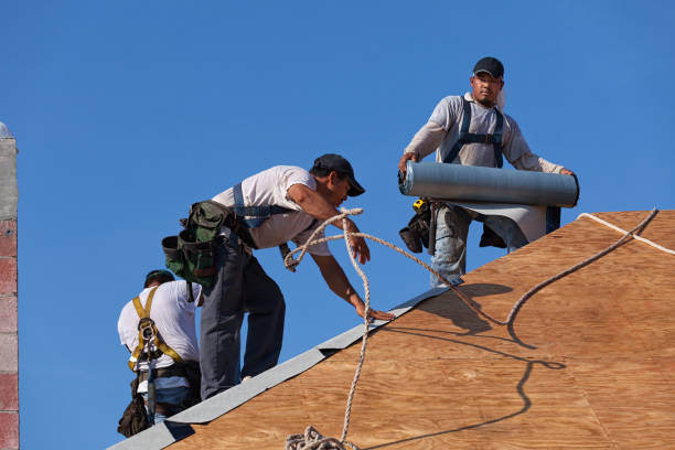 Best Flat Roof Repair Services  in Montrose, PA